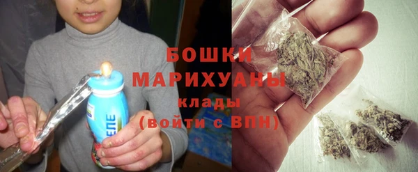 2c-b Богородицк