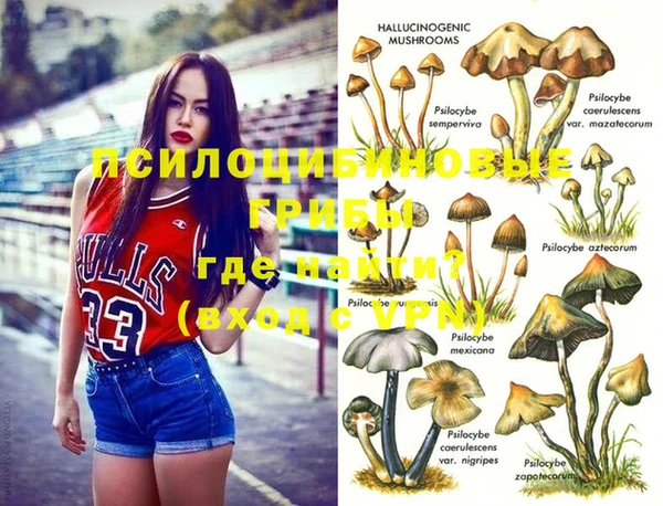 2c-b Богородицк