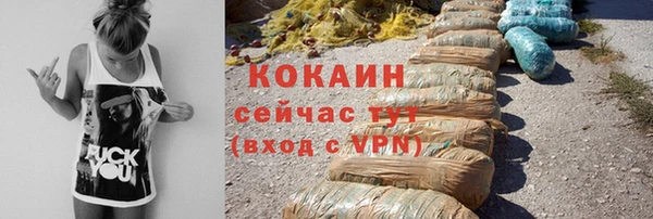 mdpv Богородск
