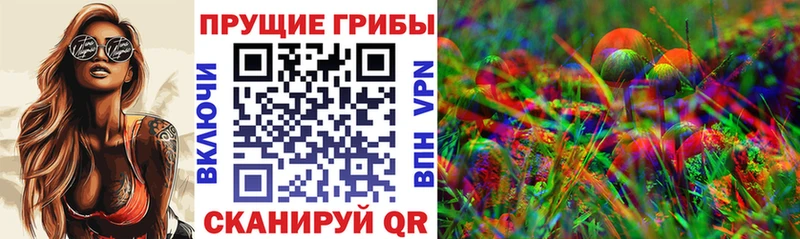 Галлюциногенные грибы Magic Shrooms  Котельнич 
